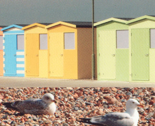 Seaford Beach Hut and Residents