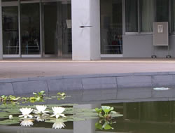 �g���{�Ɛ��@