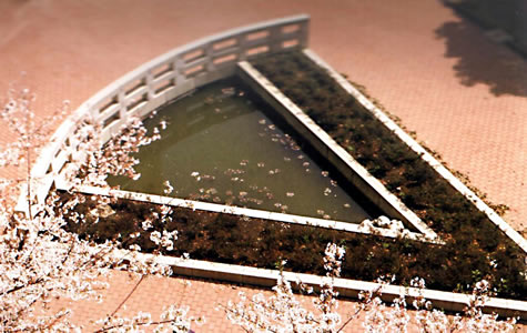 ���ド�W�A���r