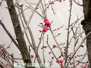 �N���b�N����ƌ��̃T�C�Y�ŕ\�����܂�