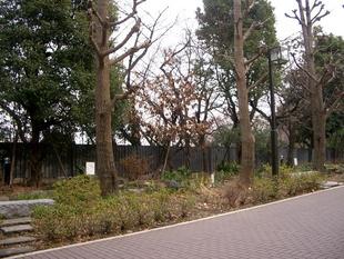 クリックすると元のサイズで表示します