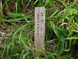 スライドショウ