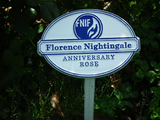 �t���[�����X �i�C�`���Q�[���L�O�K�N