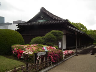 「つつじの花も満開です」