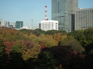 本丸休憩所そばの展望台