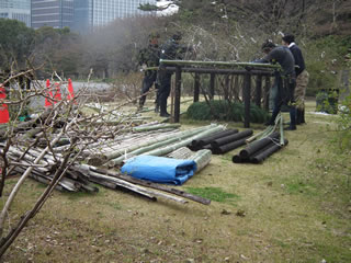 バラの島手入れ
