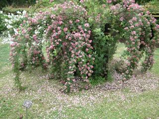 「天守台からの眺め」