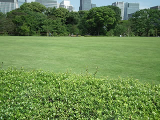 「芝生とその手入れ」