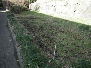 ヒマワリのスペース