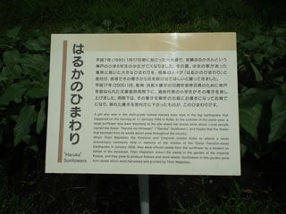 ヒマワリのスペース・レンゲソウ