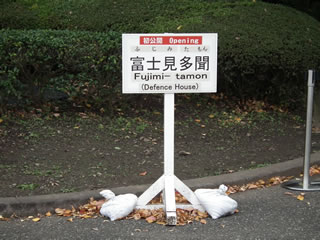 「バラの島のいろいろ」