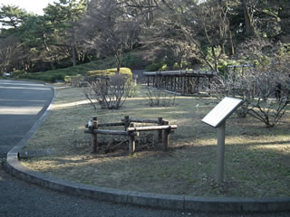 「バラの島・準備完了」