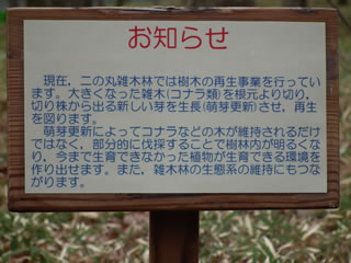 「樹木再生事業」