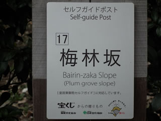 「梅林坂のウメ」