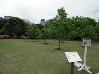「果樹古品種園」