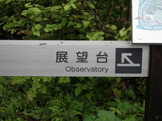 はるかのひまわり