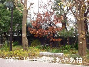 クリックすると元のサイズで表示します